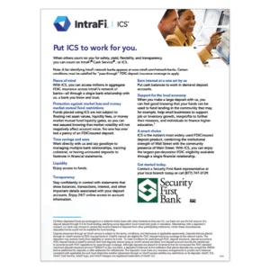SFB IntraFi ICS Flyer 2026 Mockup