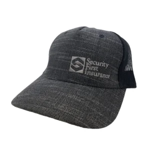 SFI-Graphite-Black-Cap