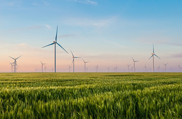 wind-turbine-electric-power-in-green-field-web