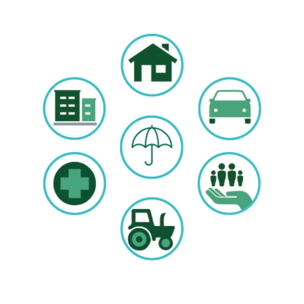 Icons of a house, a car, a family, a tractor, an umbrella, a hospital, and a business to represent different lines of insurance.