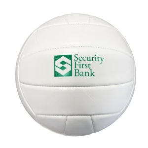 Regulation Size Volleyball